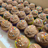 Mini Cupcake Box
