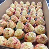 Mini Cupcake Box