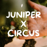 Juniper x Circus | Friday 4th December