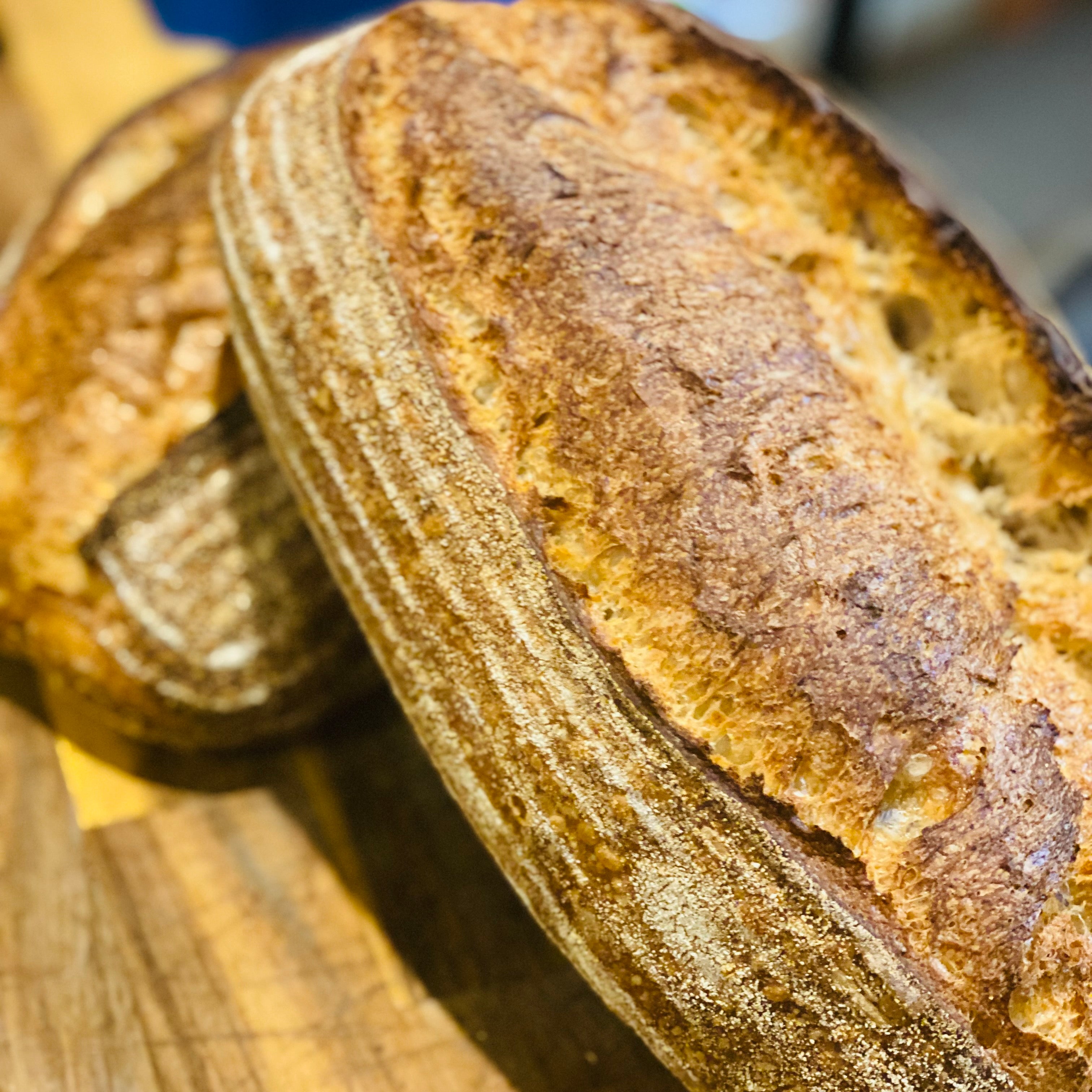 NSS Bread ~  Cottesloe Sourdough