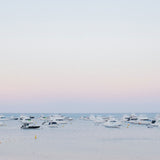 Rubbish Bag Removal (Rottnest)